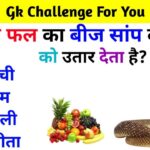 रेलवे सामान्य ज्ञान प्रतियोगिता प्रश्न | Gk Questions in Hindi